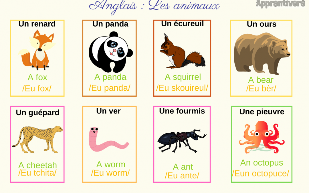 Animals (Leçon)