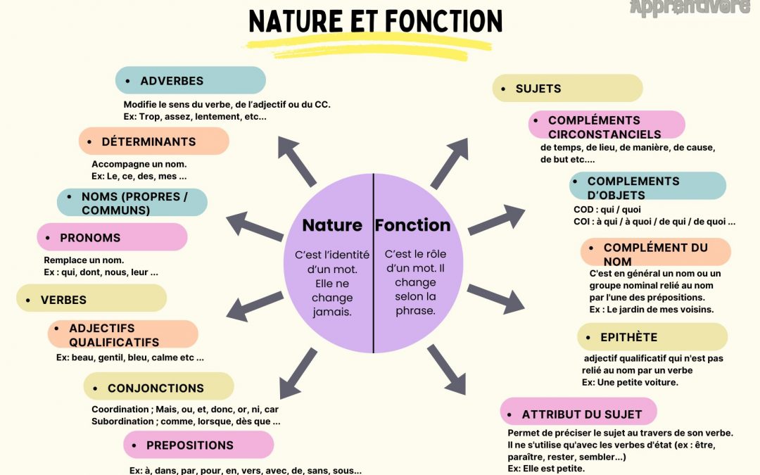 Nature et Fonction (Leçon)